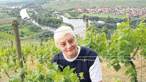 Gedeihen die Reben? Schwester Hedwig Mayer von der Vogelsburg bei der Arbeit.
