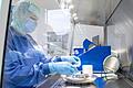 Steril und mit strengsten Reinheitsvorschriften werden in der Klinikapotheke in so genannten Isolatoren spezielle Medikamente für die Krebsbehandlung hergestellt.