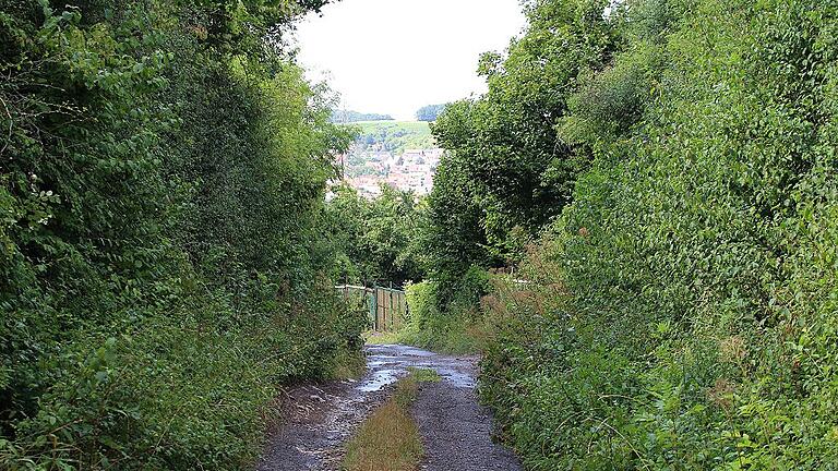 Eine Zufahrt über die Lehmsteige zum Oberen Dümmersberg wird von einigen Stadtratsmitgliedern gewünscht, damit keine Trabantenstadt entsteht. Doch die Straße ist steil.