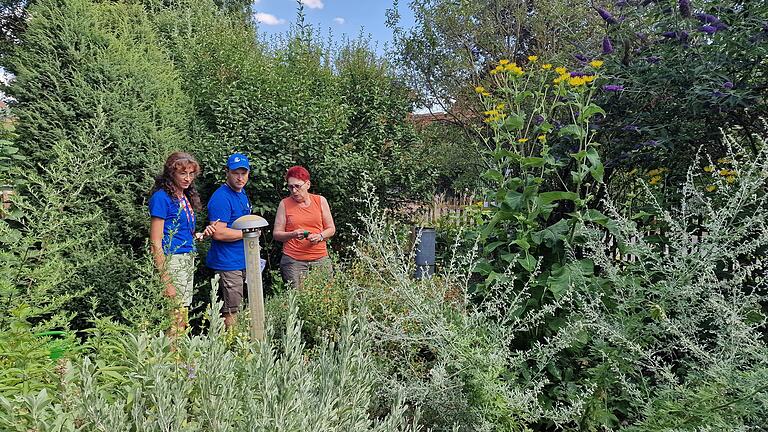 Besichtigung des Gartens von Monika Horcher durch zwei Mitglieder der Gartenjury des LBV. - Besichtigung des Gartens von Monika Horcher durch zwei Mitglieder der Gartenjury des LBV. Besichtigung des Gartens von Monika Horcher durch zwei Mitglieder der Gartenjury des LBV. - Besichtigung des Gartens von Monika Horcher durch zwei Mitglieder der Gartenjury des LBV.