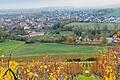 Ein Blick auf das herbstliche Oberschwarzach mit Altort, Siedlungsgebieten, Bikepark, Generationenplatz und Sebastianihaus aus der Perspektive des Herrenbergs.