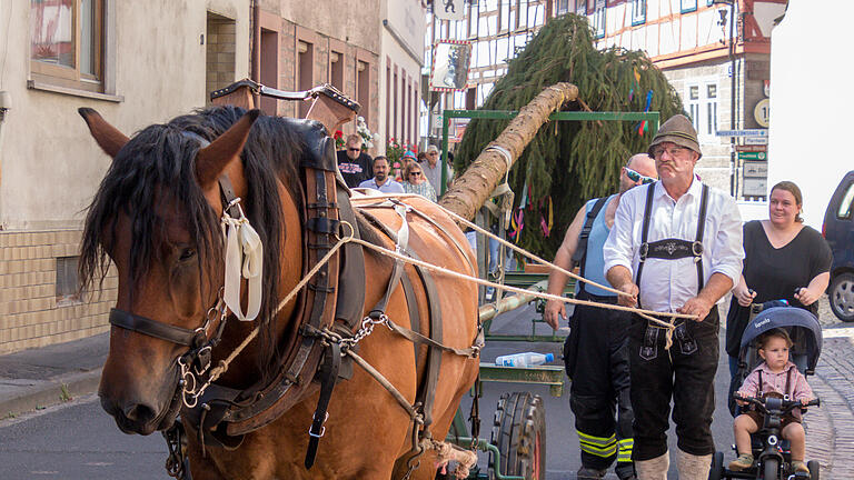 Mit dem Festzug, der Abholung des Rienecker Kirchweihbaumes am Kinderspielplatz im Obertor und dessen Aufstellung am Parkplatz in der Stadtmitte beginnt die die viertägige Kirchweihfeier.