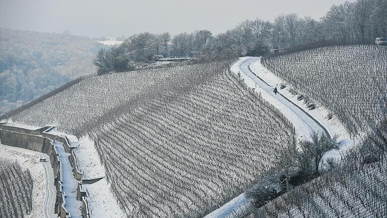 Blick von der Steinburg auf die winterlichen Weinberge des Würzburger Stein Anfang dieses Jahres.