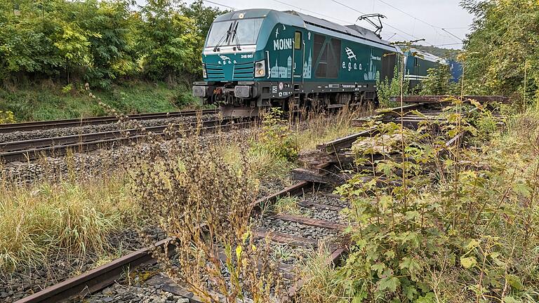 Auf der Bahnstrecke Waigolshausen – Gemünden, auch Werntalbahn genannt, wurde 1976 der Personenverkehr eingestellt. Über eine Reaktivierung wird aktuell diskutiert. (Archivfoto) Auf der Bahnstrecke Waigolshausen – Gemünden, auch Werntalbahn genannt, wurde 1976 der Personenverkehr eingestellt. Über eine Reaktivierung wird aktuell diskutiert. (Archivfoto)