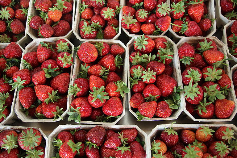 Köstliche Ernte: Erdbeeren aus der Region, frisch und durch die Sonne zuckersüß. Köstliche Ernte: Erdbeeren aus der Region, frisch und durch die Sonne zuckersüß.