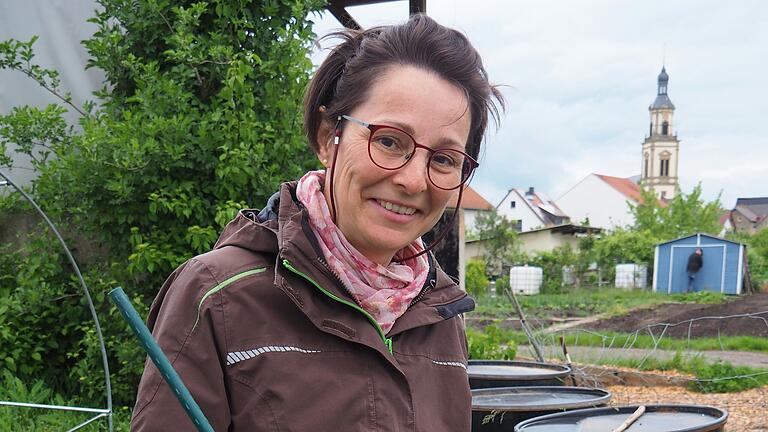 Welche Beikräuter liefern die beste Jauche, den besten Dünger? Das ist eine von vielen Fragen, denen Martina Vierengel bei ihrer Ausbildung bei der SoLaWi Schweinfurt und Umgebung in der Praxis auf den Grund geht. Welche Beikräuter liefern die beste Jauche, den besten Dünger? Das ist eine von vielen Fragen, denen Martina Vierengel bei ihrer Ausbildung bei der SoLaWi Schweinfurt und Umgebung in der Praxis auf den Grund geht.