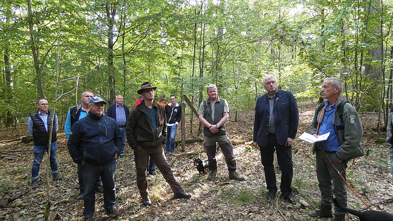 Der Eberner Stadtrat mit Bürgermeister Jürgen Hennemann (Zweiter von rechts) an der Spitze, ließ sich beim jährlichen Waldbegang durch Förster Wolfgang Gnand (rechts) über den Zustand des Stadtwaldes informieren.