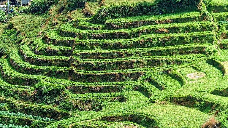 Die mitunter über 2000 Jahre alten Reisterrassen gelten als Weltwunder und sind als Weltkulturerbe anerkannt. Angelegt wurden sie, um das pure Überleben zu sichern. Die mitunter über 2000 Jahre alten Reisterrassen gelten als Weltwunder und sind als Weltkulturerbe anerkannt. Angelegt wurden sie, um das pure Überleben zu sichern.