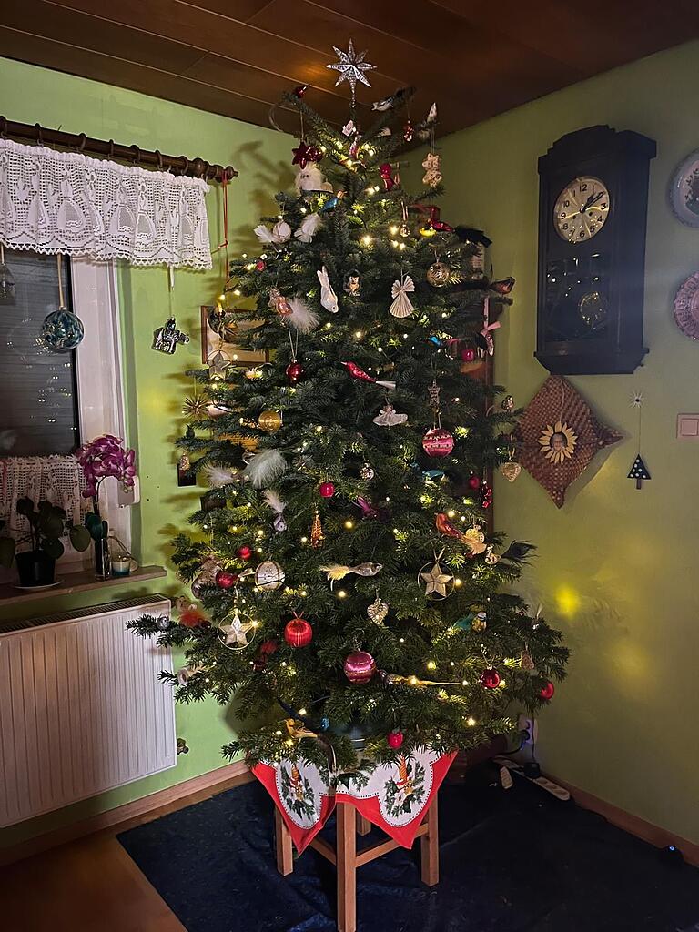 Den Weihnachtsbaum von Ingrid Kabisch zieren viele Vögel sowie selbstgemachter Christbaumschmuck der Oma und einer Bekannten. Den Weihnachtsbaum von Ingrid Kabisch zieren viele Vögel sowie selbstgemachter Christbaumschmuck der Oma und einer Bekannten.