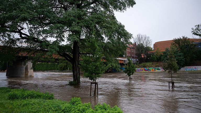 Hochwasserlage in Sachsen - An der Stadtbrücke in Görlitz stehen Bäume im Hochwasser der Neiße. Hochwasserlage in Sachsen - An der Stadtbrücke in Görlitz stehen Bäume im Hochwasser der Neiße.
