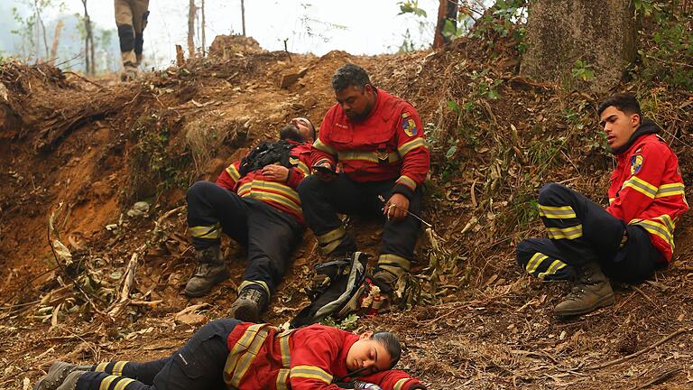 Waldbrände in Portugal       -  Fast 4.000 Feuerwehrleute und Helfer kämpfen oft bis zur völligen Erschöpfung gegen die Flammen.