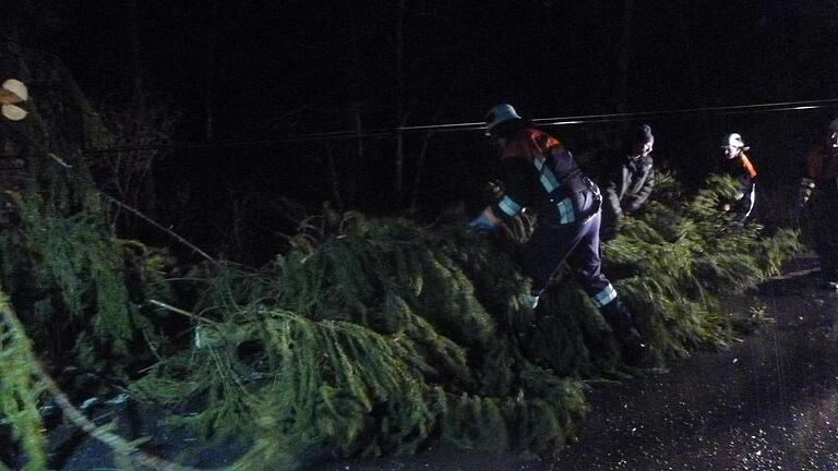 Ein Baum stürzt auf die Straße Althausen-Sambachshof und blockierte den Verkehr.&nbsp;