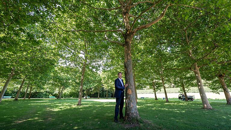 Zeigt sich gerne als Freund der Bäume, will aber keinen neuen Nationalpark in Bayern: Ministerpräsident Markus Söder (CSU).