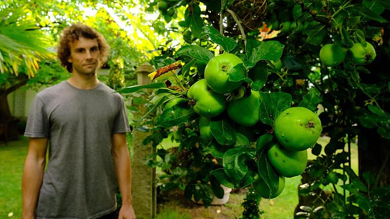 Die Äpfel gedeihen gut im kleinen Paradies von Rico Raab. Die Äpfel gedeihen gut im kleinen Paradies von Rico Raab.
