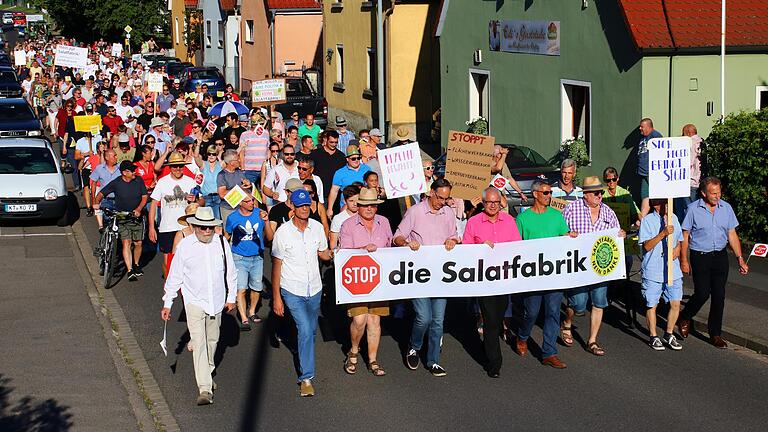 Am 27. Juni demonstrierten in Wiesentheid rund 500 Menschen gegen die geplante Salatzuchtanlage. Jetzt hat das niederländische Agrarunternehmen den Bauantrag zurückgezogen. Am 27. Juni demonstrierten in Wiesentheid rund 500 Menschen gegen die geplante Salatzuchtanlage. Jetzt hat das niederländische Agrarunternehmen den Bauantrag zurückgezogen.