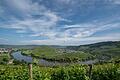 Zarte Wolken schweben über der Mosel und den Weinbergen bei Trittenheim in Rheinland-Pflaz. Foto: Harald Tittel/dpa       -  Die Mosel gehört zu den längsten Flüssen Deutschlands.