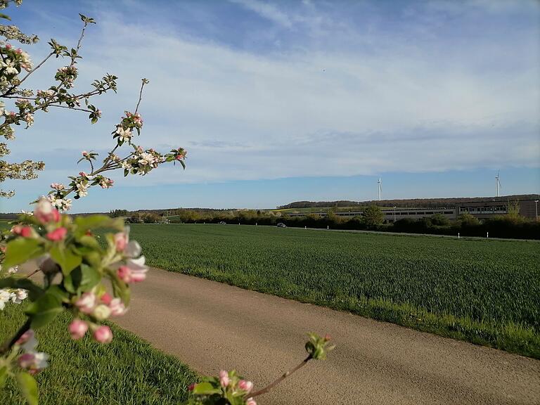 Auf diesen Flächen bei Helmstadt soll ein Gewerbegebiet entstehen. Auf diesen Flächen bei Helmstadt soll ein Gewerbegebiet entstehen.