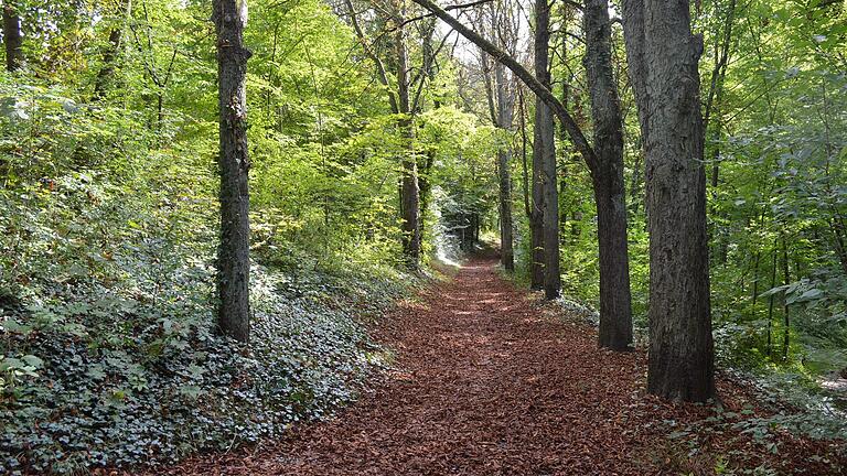 Um und in der Stadt Bad Kissingen gibt es ein großes Netz von Promenadenwegen. Um und in der Stadt Bad Kissingen gibt es ein großes Netz von Promenadenwegen. 