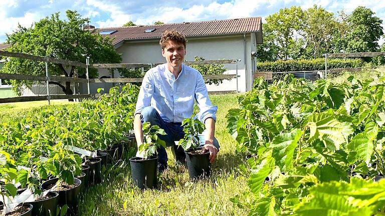 Trüffel aus Ostheim: Tim Ritter plant eine Trüffelplantage auf dem heimischen Biohof. Trüffel aus Ostheim: Tim Ritter plant eine Trüffelplantage auf dem heimischen Biohof.