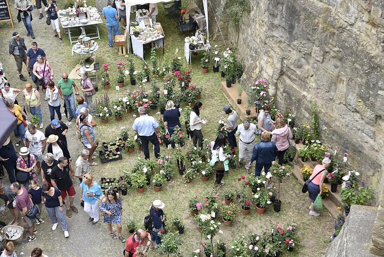 Auf dem Schlossberg in Königsberg findet am Wochenende die Rosen- und Garten-Messe statt. Auf dem Schlossberg in Königsberg findet am Wochenende die Rosen- und Garten-Messe statt.