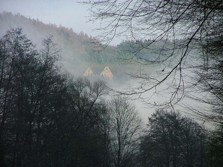 Die Schönrain im Nebel.