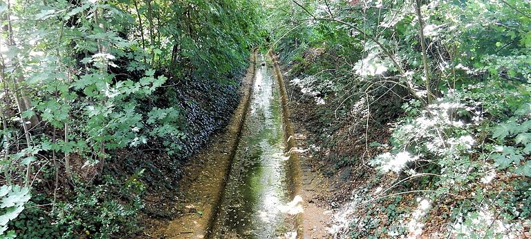 Nur noch ein Rinnsal ist der Marienbach auch 1000 Meter vor der Mündung in den Main. Nur noch ein Rinnsal ist der Marienbach auch 1000 Meter vor der Mündung in den Main.