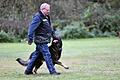 Hund und Herrchen bei einer Prüfung auf dem Hundeplatz des PSV Schweinfurt und Umgebung.