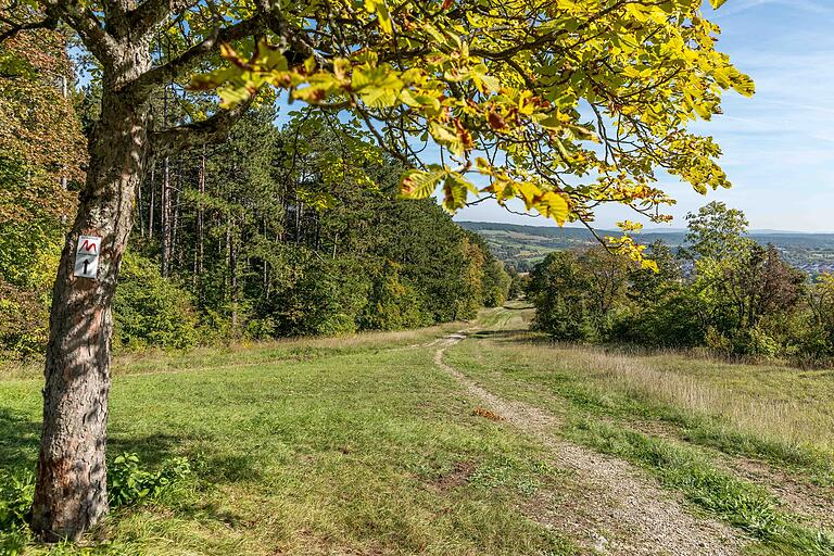 Die Wanderung führt über und entlang des Münnerstädter Hausberges durch wunderbare Natur. Die Wanderung führt über und entlang des Münnerstädter Hausberges durch wunderbare Natur. 