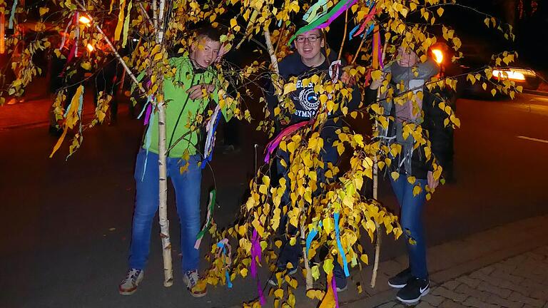 Bunt geschmückte Birkenbäumchen werden zum Auftakt der Kirchweih vor den Gaukönigshöfer Gasthäusern aufgestellt. Bunt geschmückte Birkenbäumchen werden zum Auftakt der Kirchweih vor den Gaukönigshöfer Gasthäusern aufgestellt.