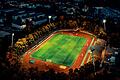 Für den Unterhalt der vielen Sportanlagen wie das Sachs-Stadion im Bild wird die Stadt Schweinfurt auch im kommenden Jahr den Haushalt nicht kürzen.