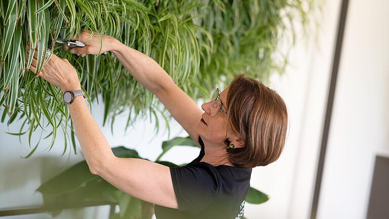 Heike Schneider bringt die Wandverkleidung in Form.