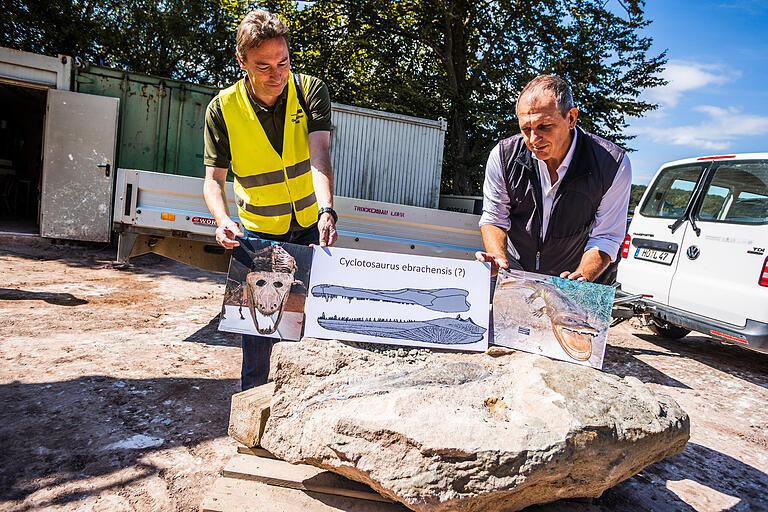 Geologe Georg Loth (links) und Roland Eichhorn, Leiter des Bayerischen Landesamts für Umwelt, zeigen, dass es sich beim Mastodonsaurus um einen Top-Jäger seiner Zeit gehandelt hat.