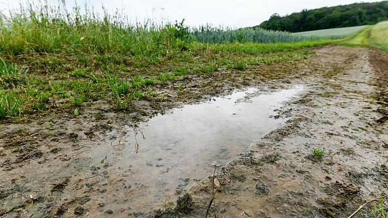 Der Regen der vergangenen Tage und Wochen hat viel Wasser auf den Boden gebracht, wie hier in Waldbrunn (Lkr. Würzburg). Der Regen der vergangenen Tage und Wochen hat viel Wasser auf den Boden gebracht, wie hier in Waldbrunn (Lkr. Würzburg).