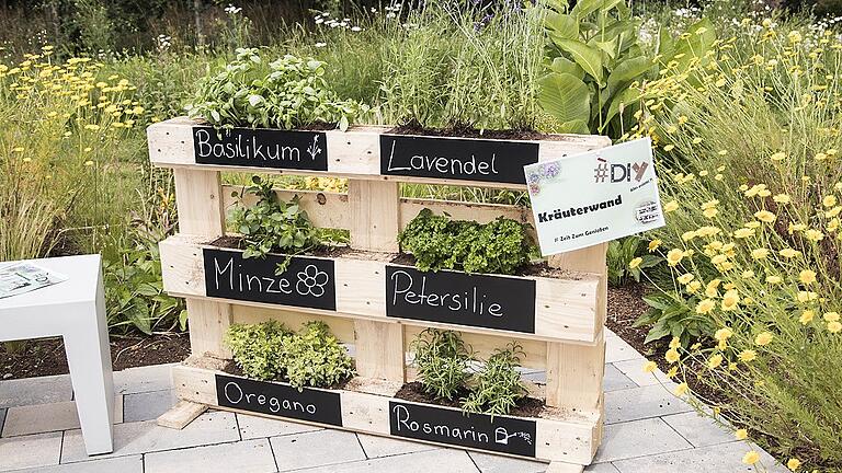 Kräuterwand• Man benötigt eine Euro-Palette, Bohrmaschine, schmale Latten, Schrauben, etwas Vlies oder Teichfolie, Tafelfolie, Kreide, Kies und Erde. Und natürlich verschiedene Kräuterstauden von der Gärtnerei.• Palettenfüße mit einem Brett auf einer Seite schließen, so dass Pflanzentaschen entstehen.• Palette aufstellen. Die Pflanzentaschen mit Vlies oder Teichfolie auskleiden. Bretter am Fuß der Kräuterwand quer als Füße anschrauben. • Kräuterwand aufstellen, Pflanzentaschen mit Pflanzenerde füllen und mit Kräutern bepflanzen.• Auf die Frontseite dicke Tafelfolie tackern. Später kann dort mit Kreide der Namen der Kräuter aufgeschrieben werden. Kräuterwand• Man benötigt eine Euro-Palette, Bohrmaschine, schmale Latten, Schrauben, etwas Vlies oder Teichfolie, Tafelfolie, Kreide, Kies und Erde. Und natürlich verschiedene Kräuterstauden von der Gärtnerei.• Palettenfüße mit einem Brett auf einer Seite schließen, so dass Pflanzentaschen entstehen.• Palette aufstellen. Die Pflanzentaschen mit Vlies oder Teichfolie auskleiden. Bretter am Fuß der Kräuterwand quer als Füße anschrauben. • Kräuterwand aufstellen, Pflanzentaschen mit Pflanzenerde füllen und mit Kräutern bepflanzen.• Auf die Frontseite dicke Tafelfolie tackern. Später kann dort mit Kreide der Namen der Kräuter aufgeschrieben werden.