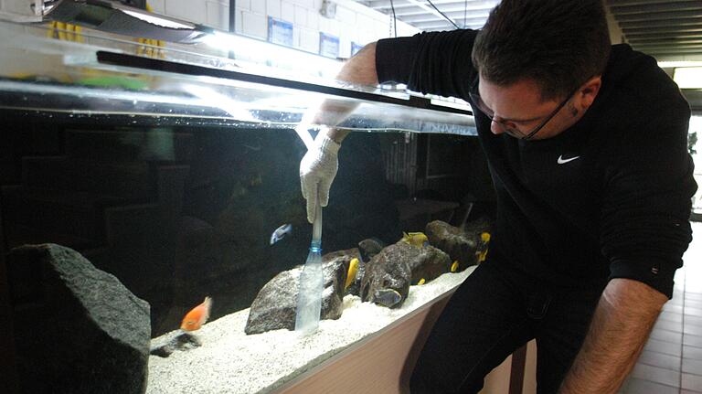 Regelmäßig müssen die Aquarien gereinigt werden, sonst kippen die meist sehr empfindlichen Biotope um. Regelmäßig müssen die Aquarien gereinigt werden, sonst kippen die meist sehr empfindlichen Biotope um. 