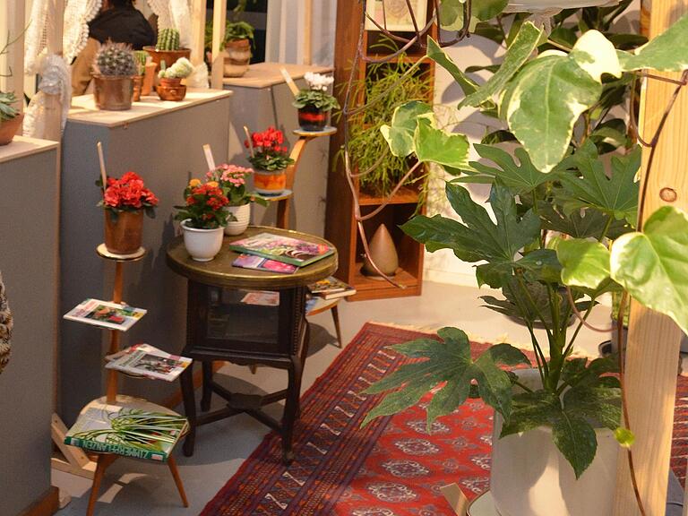 Gewusst, woher die Pflanzen auf dem Fenstersims kommen? Der Botanische Garten in Würzburg zeigt, wie das Grün aus den Tropen in unsere Wohnungen kam. Gewusst, woher die Pflanzen auf dem Fenstersims kommen? Der Botanische Garten in Würzburg zeigt, wie das Grün aus den Tropen in unsere Wohnungen kam.