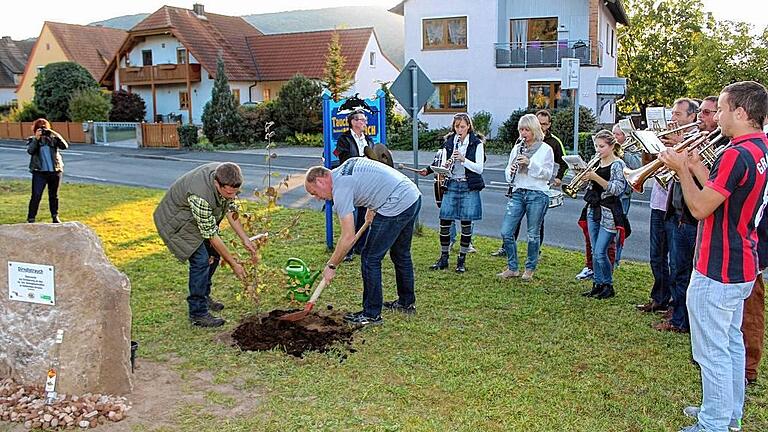 Gruß aus Österreich: Einen Baum aus dem niederösterreichischen Hofstetten hat das Main-Spessarter Hofstetten am Samstagabend bekommen. Den Dirndlstrauch (Kornelkirschbaum) pflanzten ASV-Vorsitzender Christoph Rüb (rechts) und Julian Röder vom Obst- und Gartenbauverein unter Blasmusikklängen und mit rund 100 Mitbürgern.