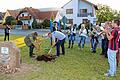 Gruß aus Österreich: Einen Baum aus dem niederösterreichischen Hofstetten hat das Main-Spessarter Hofstetten am Samstagabend bekommen. Den Dirndlstrauch (Kornelkirschbaum) pflanzten ASV-Vorsitzender Christoph Rüb (rechts) und Julian Röder vom Obst- und Gartenbauverein unter Blasmusikklängen und mit rund 100 Mitbürgern.