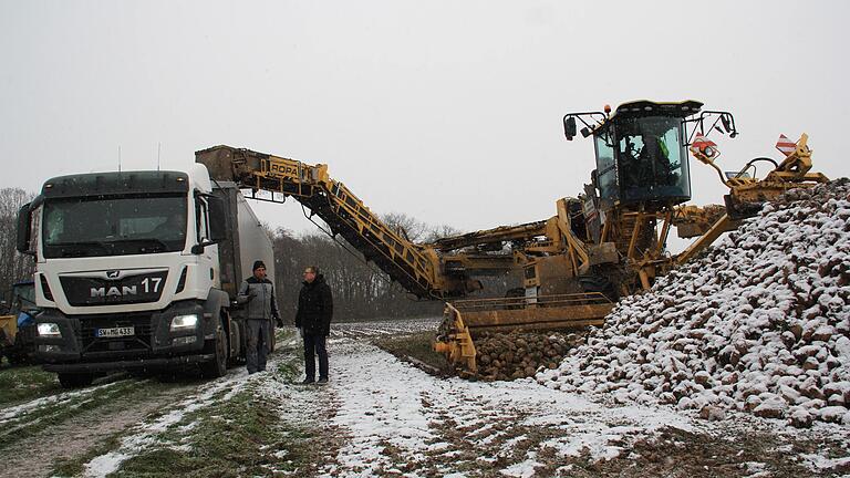 Wenige Tage vor Weihnachten wird die LMZ Zeil Ost die letzten Zuckerrüben verladen und in die Zuckerfabrik transportiert haben. Das Bild zeigt eine Lademaus im Einsatz auf einem Acker zwischen Unterspiesheim und Gernach.