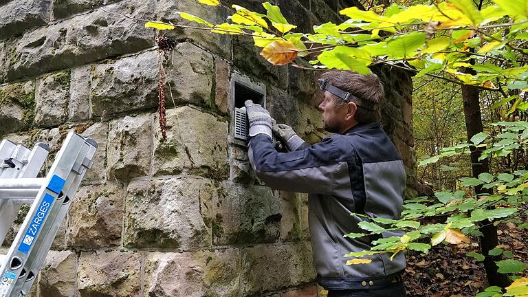 Neuer Lebensraum für Fledermäuse in Hünfeld: Hans Jordan bei der Schaffung eines Fledermauseinflugs.