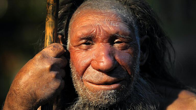 Die Neandertaler waren in der Region, wie Funde beweisen. Unser Bild zeigt eine Nachbildung eines älteren Neandertalers, der im Neanderthal-Museum in Mettmann steht. Die Neandertaler lebten wahrscheinlich schon lange vor dem modernen Menschen in Europa. Sie starben vermutlich vor rund 30 000 Jahren aus.