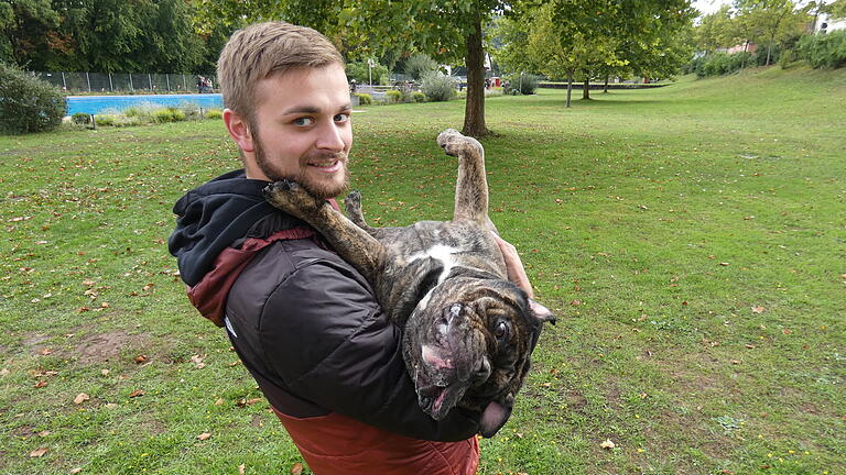 Auch mit seinen 32 Kilogramm Eigengewicht liebt es Uwe, die zweijährige Altenglische Bulldogge, von seinem Herrchen Felix Hofmann in den Arm genommen zu werden. Auch mit seinen 32 Kilogramm Eigengewicht liebt es Uwe, die zweijährige Altenglische Bulldogge, von seinem Herrchen Felix Hofmann in den Arm genommen zu werden.