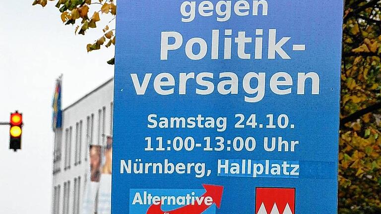Die AfD hatte ohne Erlaubnis einige Plakate aufgehängt. Die Stadt nahm sie ab und schickte der AfD eine Rechnung.