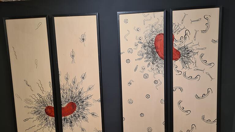 Interessante Exponate bietet die neue Ausstellung im 'Kloster Wechterswinkel'.