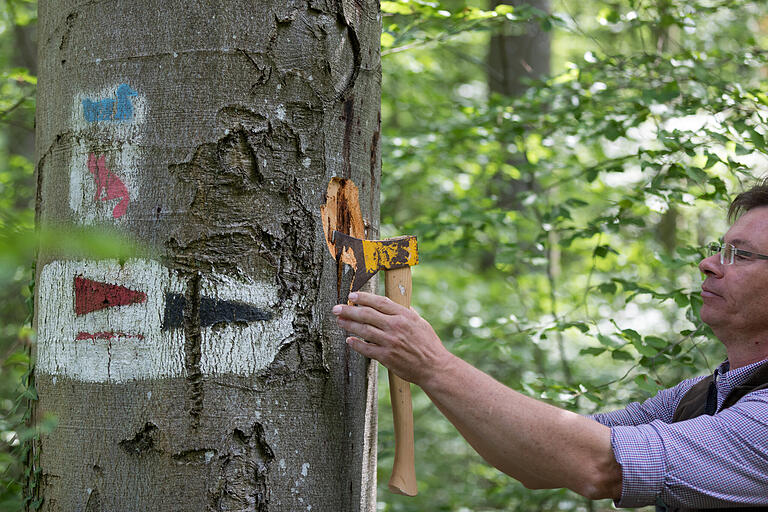 Die Auswirkungen des Klimawandels sind auch in Würzburg zu sehen: Rund 5.000 Bäume im Stadtgebiet sind bereits abgestorben. Besonders betroffen sind alte Buchen. Im Bild: Förster Karl-Georg Schönmüller.