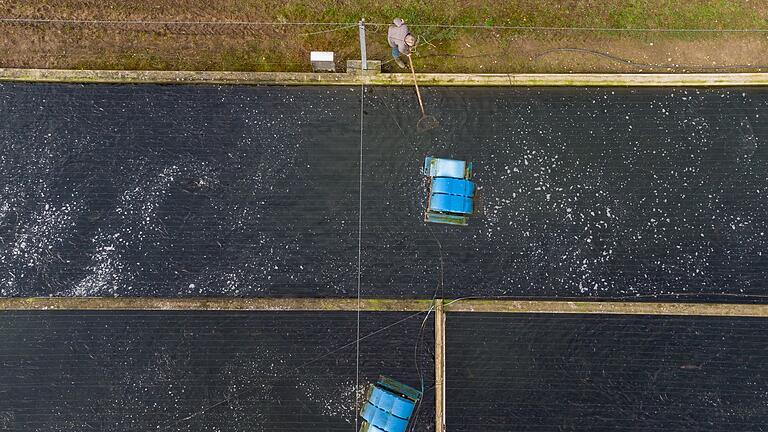 Aquakultur in Niedersachsen       -  Ein Mitarbeiter kontrolliert ein Aufzuchtbecken in Niedersachsen.