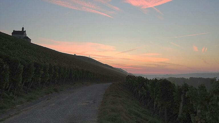 Durch die Weinberge am Kapellenberg bei Frickenhausen geht es beim GlühweinWandern am 24. November.&nbsp;