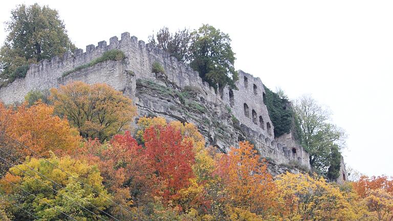 Steil und unzugänglich ist das Gelände unter der Ruine Karlsburg in Mühlbach. Nach einem glimpflich verlaufenem Steinschlag im März soll der 2008 gebaute Schutzzaun jetzt erweitert werden. Die Steilwand unter den Burgmauern muss zudem teilweise stabilisiert werden.