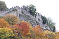 Steil und unzugänglich ist das Gelände unter der Ruine Karlsburg in Mühlbach. Nach einem glimpflich verlaufenem Steinschlag im März soll der 2008 gebaute Schutzzaun jetzt erweitert werden. Die Steilwand unter den Burgmauern muss zudem teilweise stabilisiert werden.