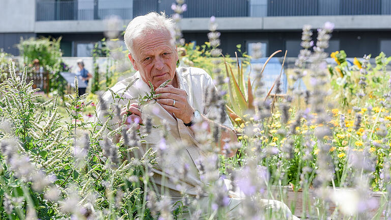 Dr. Johannes Mayer leitet die Forschungsgruppe Klostermedizin an der Uni Würzburg. Foto: Thomas Obermeier